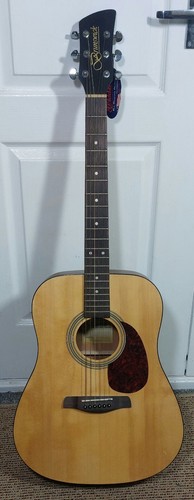 Brunswick string dreadnought - brunswick, 6-string