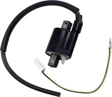 Ricks Ignition Coil Module For