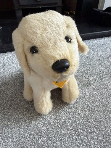 Andrex puppy dog soft - dog,