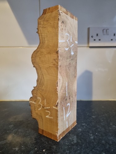 Elm burl offcut