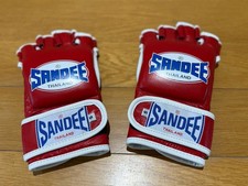 Sandee hybrid boxing mma - hybrid,