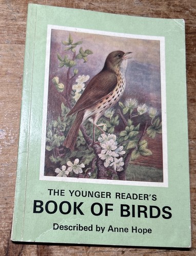 The younger reader - younger, reader's