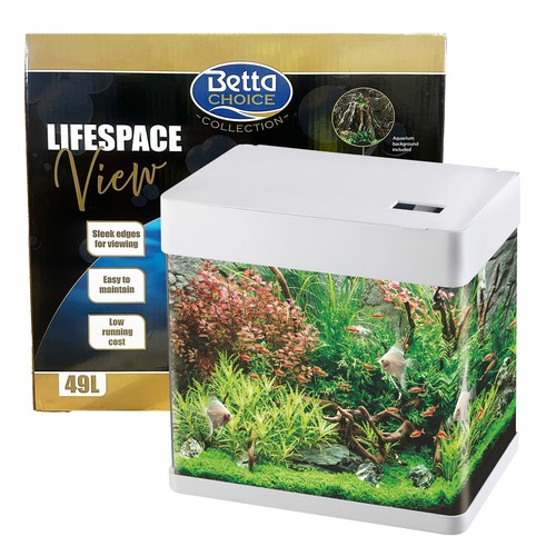 Betta choice lifespace view - choice,