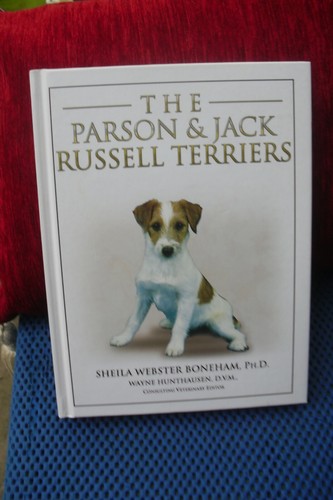 The parson jack russell - parson, &