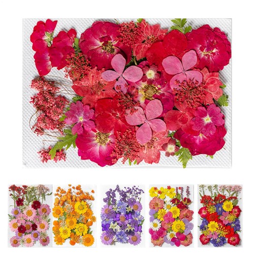 35pcs real dried flowers - 35pcs,