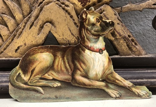 Pit bull dog - dog, cut