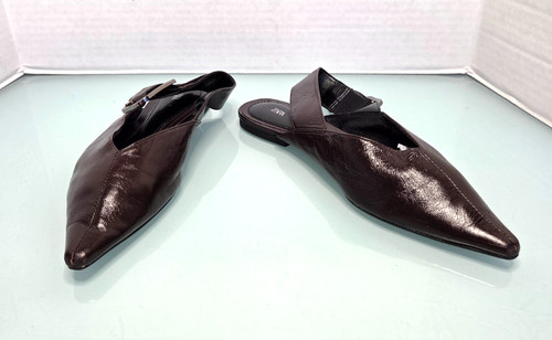 Zara pointed toe flat
