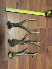 3 X Roe Deer Antler