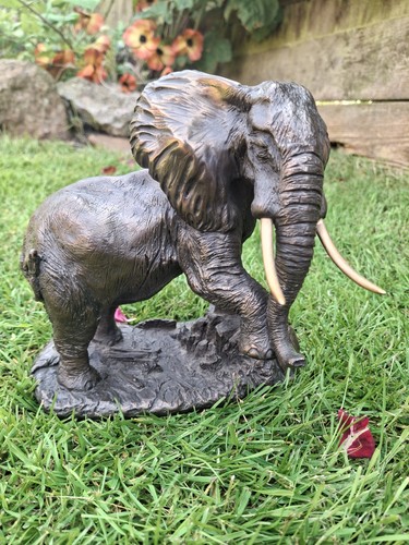 Heredities bull elephant - bull,