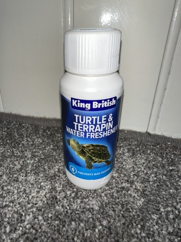 Turtle terrapin water - turtle,