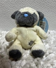 Tatty Teddy And My Blue Nose