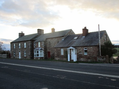 Photo 6x4 bluebell farm - 6x4,