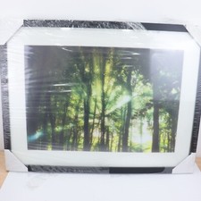 John Lewis Eridge Woods Framed