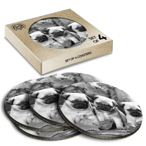 Boxed round coasters - 4,