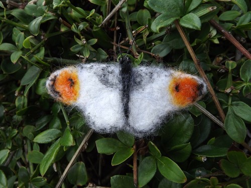 Butterfly brooch orange - butterfly, tip