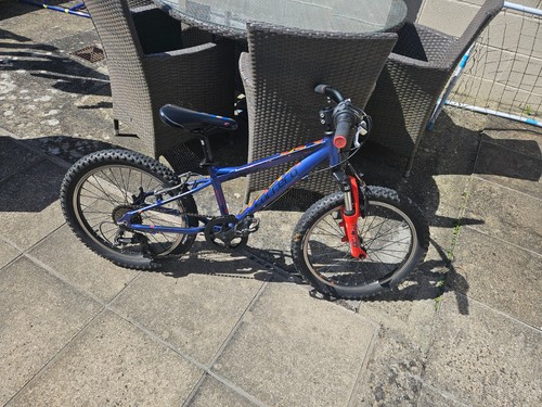 Carrera inch kids bike - carrera,