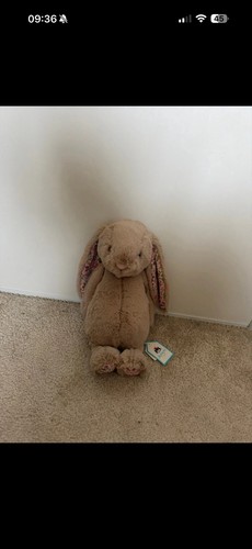 Jellycat bashful bunny - jellycat,