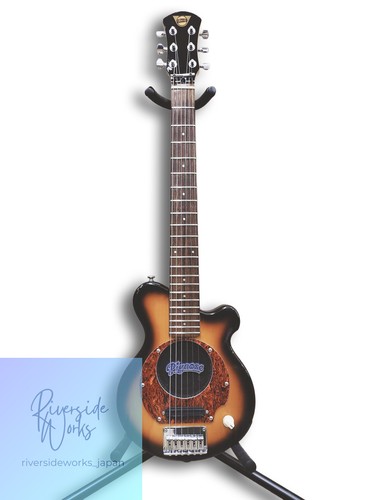 Pignose amp built guitar - amp, built-in