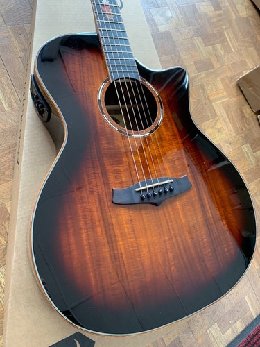 Tanglewood twx6cek winterleaf - twx6cek,