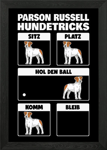 Parson russell terrier hun - parson,