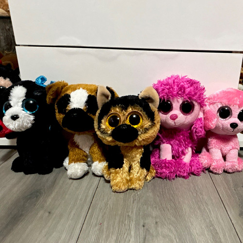 Beanie boos dogs plush - beanie,