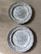 2 x Vintage Asiatic Light Blue  Pheasant Plates Worn and Weathered