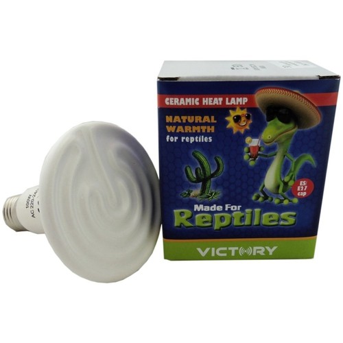 Reptile vivarium ceramic heat - reptile,