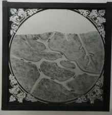 Ant Colony  drawing   Natural History Magic Lantern Slide