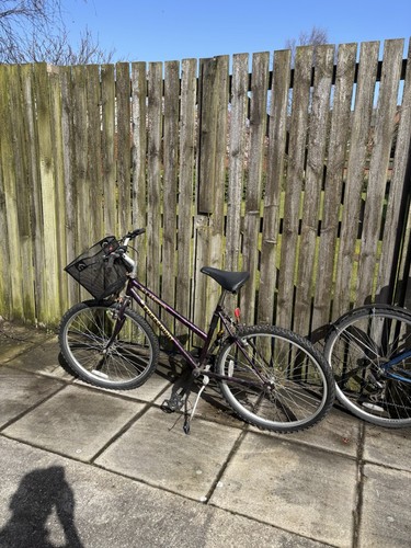 Ladies bike with basket - ladies,