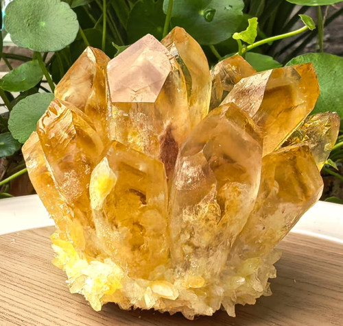 Natural citrine cluster quartz - natural,