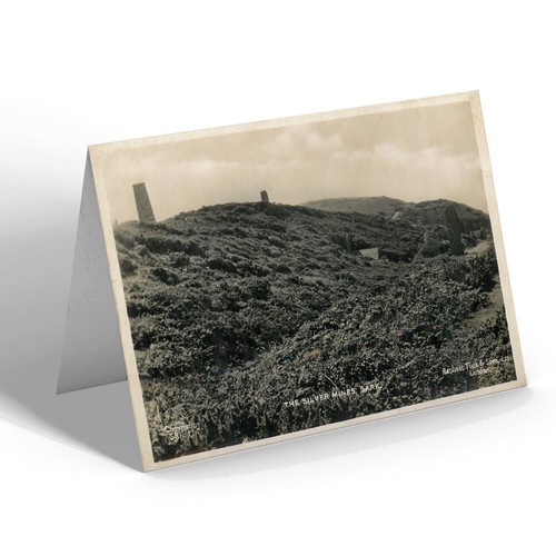 Greeting card vintage - greeting,