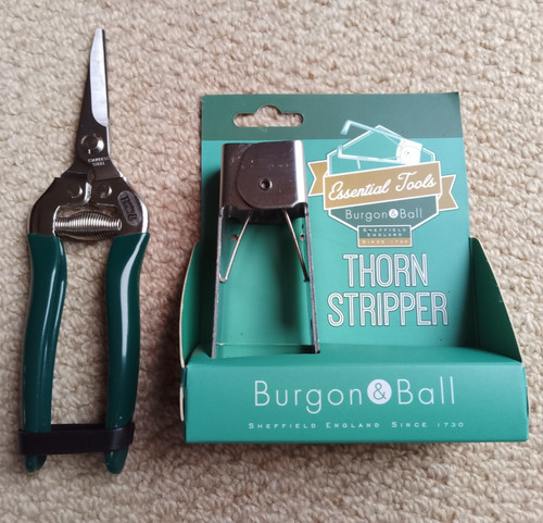 Burgon ball thorn stripper - burgon,