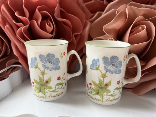 Rose england fine - rose,