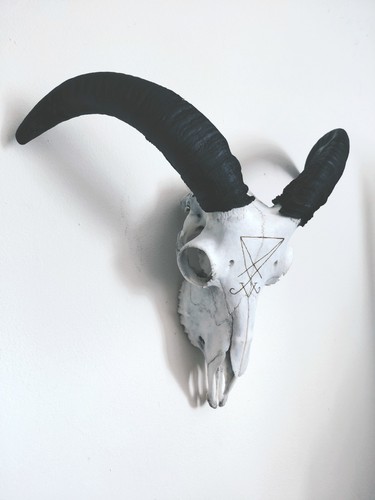Ram skull with sigil - skull,