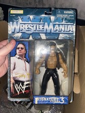 Vintage 1998 Jakks  Wwf