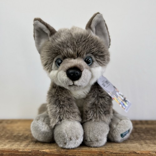 Bbc earth husky - earth,