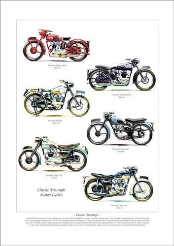 Triumph motor cycles - triumph,