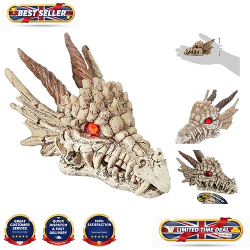 Enchanting dragon skull - enchanting,