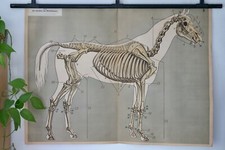 VINTAGE | SCHOOL WALL MAP Wall