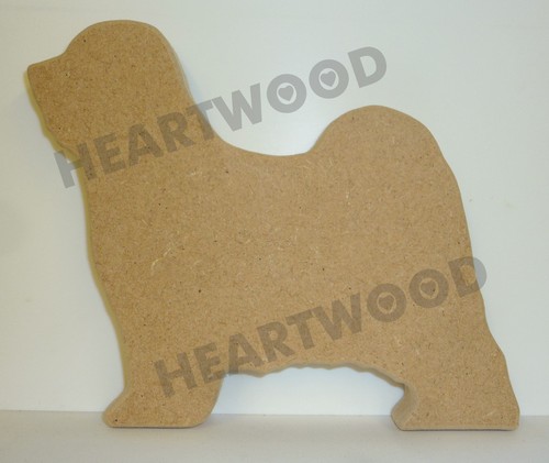 Tibetan terrier dog - shape,