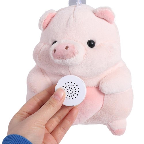 Second voice recorder - second,