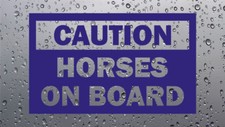 Caution Horses On Board