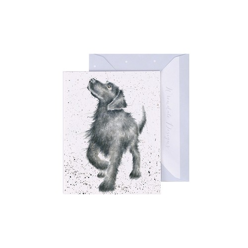 Wrendale designs animal - wrendale,