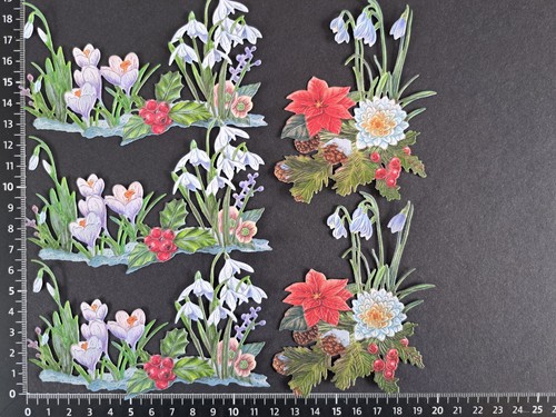 Christmas snowdrop flower die