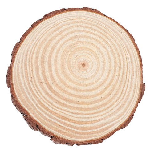 Decorative stepping stones for - stepping,
