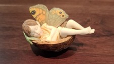 Butterfly Fairies Country