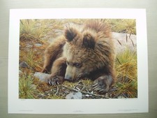 Carl Brenders - Bearly Awake -