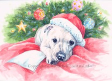 Staffordshire Bull Terrier