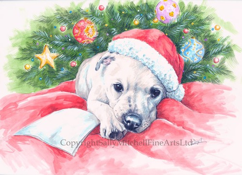 Staffordshire bull terrier - staffordshire,