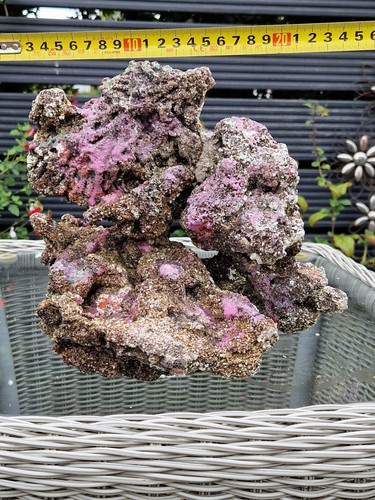 Tmc eco reef marine aquarium - eco,